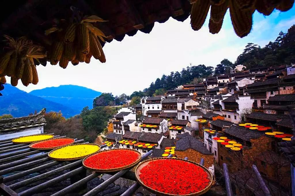江西任务完成与技能学习指南，详细步骤攻略