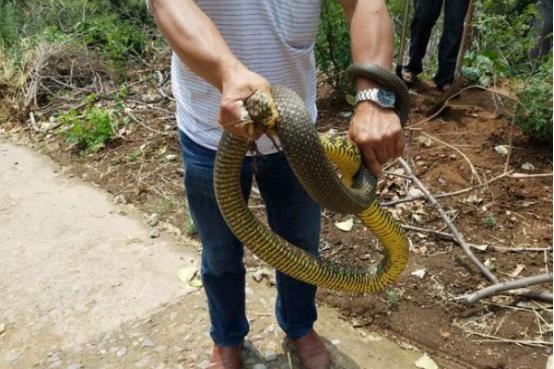 河南精彩活动，致敬嘉宾，亲近观众朋友